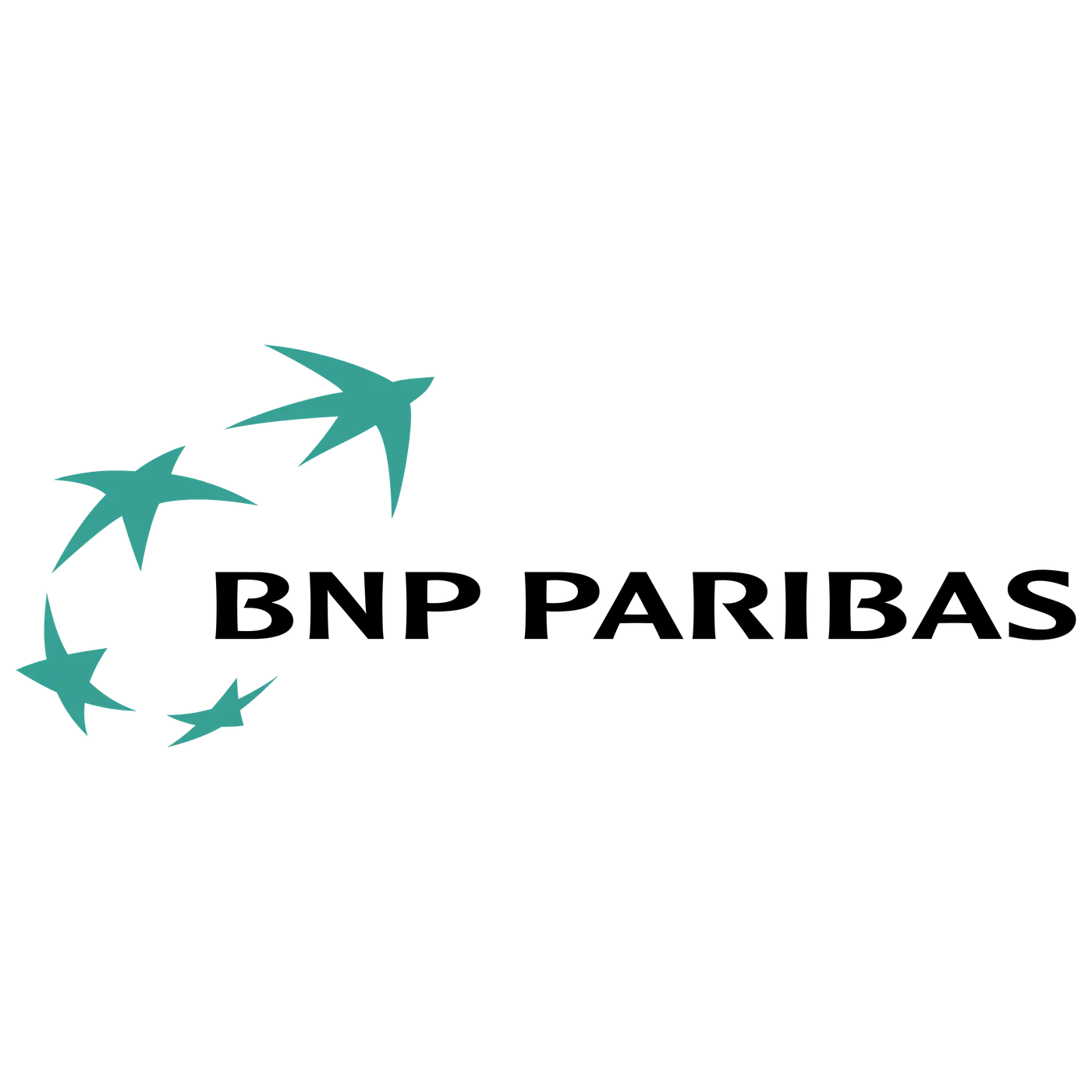 BNP Paribas client logo